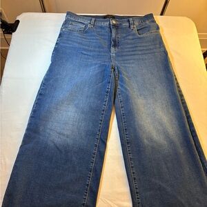 Banana Republic Women's Denim Wide Leg Crop Jeans